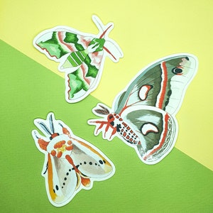 Pretty Moths Sticker Pack