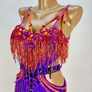 Circus : Rhythm & Latin Dress. Ballroom Dance Dress for Standard. Custom Made