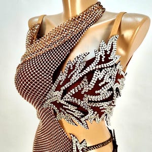 Custom Latin Dance Dress in Bronze – Crystal Mesh & Leaf Appliqué with Fringe – Luxury Cha Cha or Samba Costume