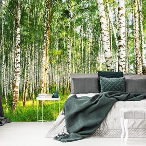 Birch Tree Forest Wallpaper Mural: Peel and Stick Wall Decor
