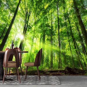 Carta da parati con foresta, murale con foresta, carta da parati staccabile e attaccabile, poster gigante rimovibile con paesaggio, decorazione da parete con foresta magica, luce solare