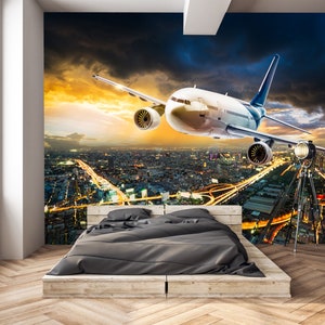Airplane Wallpaper, Peel and Stick Wallpaper, Removable Vinyl, Airplane