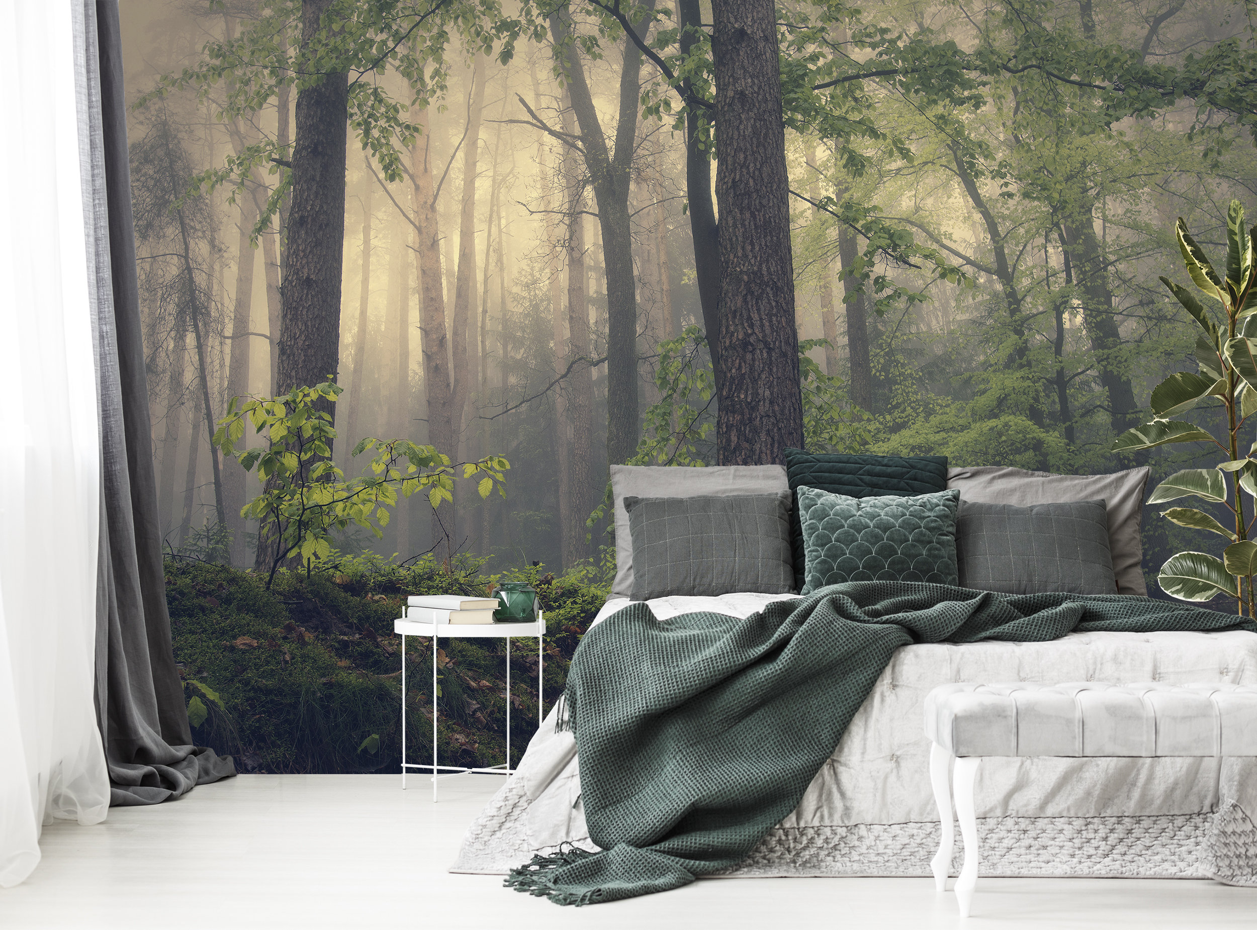 Forest Wallpaper Forest Wall Mural Photo Peel and Stick - Etsy Canada