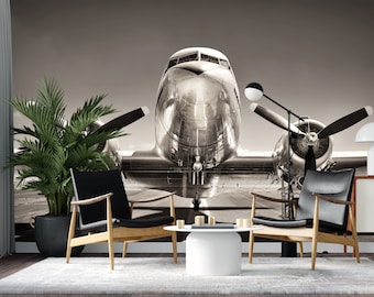 Airplane Wallpaper: Aviation Peel and Stick Wall Mural
