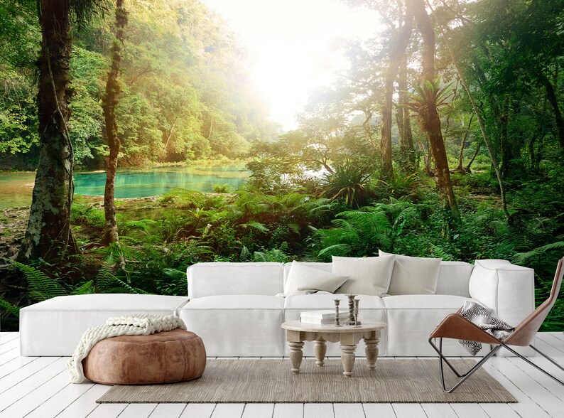 Rainforest Wallpaper Jungle Wall Mural Peel and Stick | Etsy