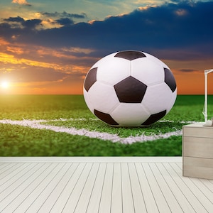 Soccer Stadium Wallpaper Mural: Teen Room Peel and Stick Decor