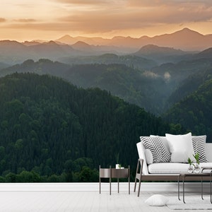 Foggy Forest Wallpaper Mural: Peel and Stick Nature Wall Art