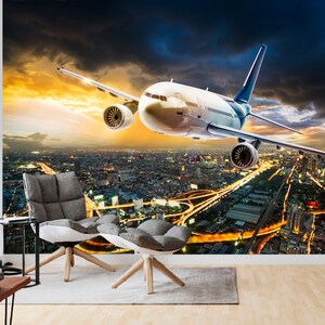Airplane Wallpaper, Peel and Stick Wallpaper, Removable Vinyl, Airplane