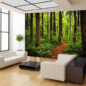Sentier à travers la forêt, papier peint mural forêt, papier peint autocollant, peintures murales auto-adhésives d'arbres de la forêt tropicale, décoration murale art mural forêt