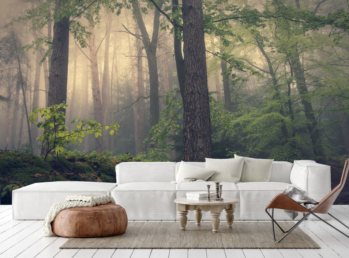 Forest Wallpaper Forest Wall Mural Photo Peel and Stick - Etsy Canada