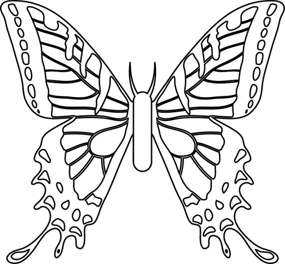 butterfly coloring pages digital instant download printable etsy