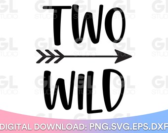 Two Wild SVG, Second Birthday svg, png, 2nd birthday SVG, Happy Birthday svg, Girl's Second Birthday SVG, princess birthday svg, two svg