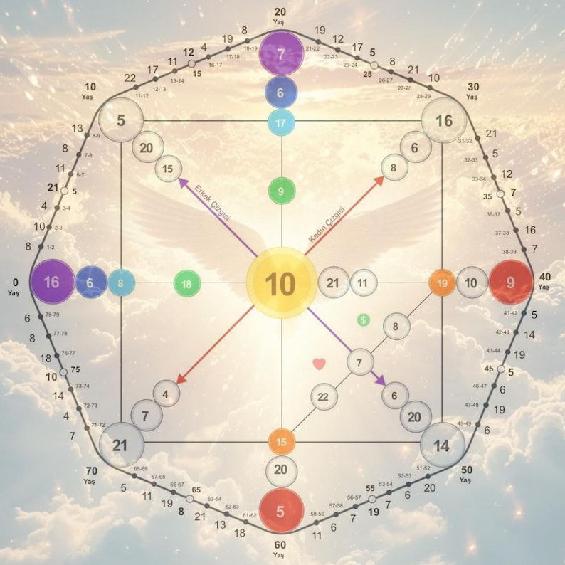 Op de afbeelding: Een kleurrijk diagram met nummers en tekst in een cirkelvormig patroon. Het diagram is verdeeld in secties met verschillende kleuren, waaronder paars, blauw, groen, geel, rood en oranje. De tekst op het diagram bevat de woorden "Erkek &Ccedil;izgisi" en "Kadın &Ccedil;izgisi" in een cursief schrift.