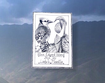 Postal de la Isla del Príncipe Eduardo - Tema provincial - Pájaros canadienses y emblemas florales, ilustrativos, dibujados a mano, suministros de diario basura