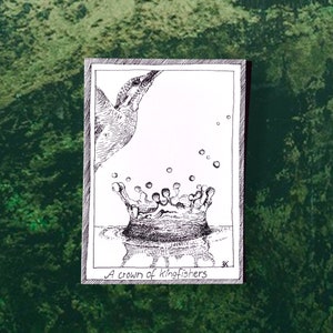 Martins-pêcheurs - cartes postales sur le thème des oiseaux - dessinées et imprimées à la main, illustration en noir et blanc, fournitures pour journaux indésirables