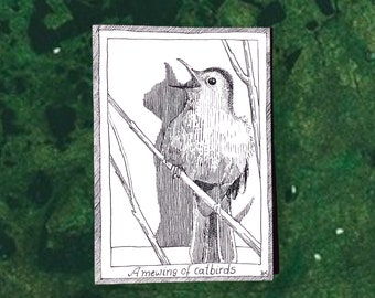 Catbirds - Themed Bird Postcards - Hand Drawn and Printed, Illustrative Black and White Art