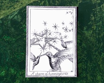 Hummingbirds - Themed Bird Postcards - Hand Drawn and Printed, Illustrative Black and White Art, Junk Journal Supplies