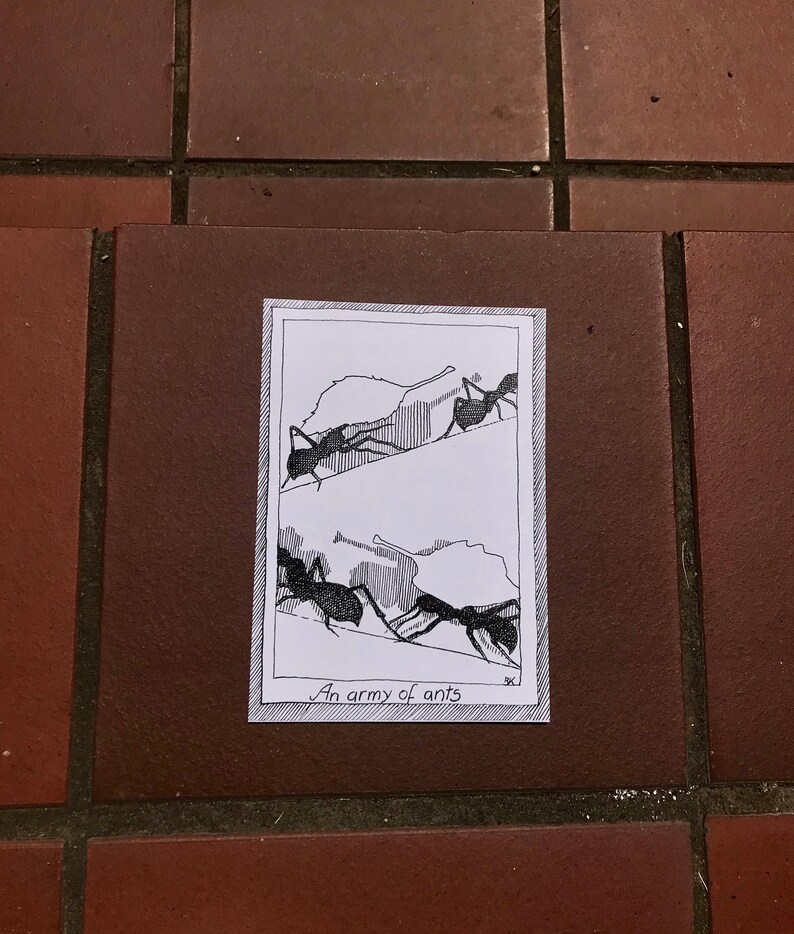 May include: A black and white line drawing of ants carrying leaves. The drawing is on a white background with a black border. The text "An army of ants" is written below the drawing.