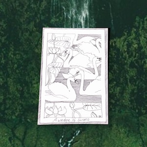 Cygnes - cartes postales sur le thème des oiseaux - dessinées et imprimées à la main, illustration en noir et blanc, fournitures pour journaux indésirables