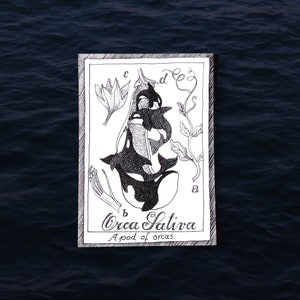 Carte postale orque - vie marine - art illustratif, imprimé, dessiné et dessiné à la main, fournitures pour journaux indésirables