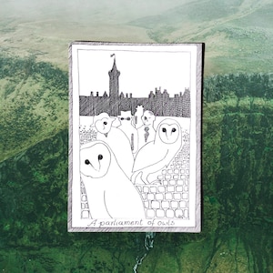 Owls - Themed Bird Postcards - Hand Drawn and Printed, Illustrative Black and White Art