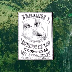 Tufted Titmice - Themed Bird Postcards - Hand Drawn and Printed, Illustrative Black and White Art