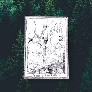 Cacatoès - cartes postales oiseaux sur le thème - dessinés et imprimés à la main, illustration en noir et blanc, fournitures pour journaux indésirables