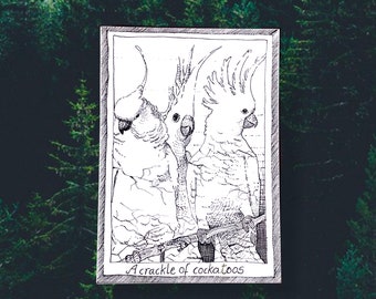 Cockatoos - Themed Bird Postcards - Hand Drawn and Printed, Illustrative Black and White Art, Junk Journal Supplies