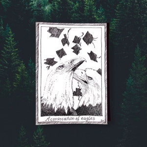 Aigles - cartes postales sur le thème des oiseaux - dessinées et imprimées à la main, illustration en noir et blanc