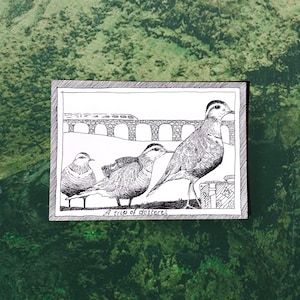 Dotterel - Themed Bird Postcards - Hand Drawn and Printed, Illustrative Black and White Art
