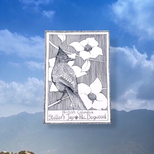 British Columbia Postcard - Provincial Theme - Canadian Birds and Floral Emblems, Illustrative, Hand Drawn, Junk Journal Supplies