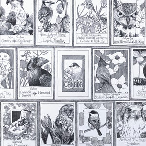 Canadian Provinces Postcard Pack: Provincial Birds and Floral Emblems, Illustrative, Printed Black and White Art