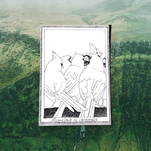 Cardinals - Themed Bird Postcards - Hand Drawn and Printed, Illustrative Black and White Art