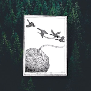 Geese - Themed Bird Postcards - Hand Drawn and Printed, Illustrative Black and White Art