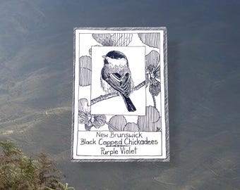 New Brunswick Postcard: Hand-Drawn Canadian Birds & Floral Emblems