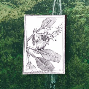 Ducks - Themed Bird Postcards - Hand Drawn and Printed, Illustrative Black and White Art