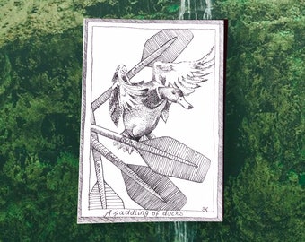 Ducks - Themed Bird Postcards - Hand Drawn and Printed, Illustrative Black and White Art