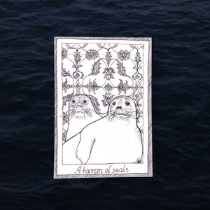 Seal carte postale - Sea Life - imprimée et dessinée à la main, illustration, fournitures pour journaux indésirables, noir et blanc