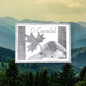 Carte postale castor - thème du drapeau canadien - dessinée et imprimée à la main, illustration en noir et blanc, fournitures pour journaux indésirables