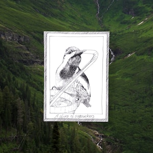 Pics - cartes postales sur le thème des oiseaux - dessinés et imprimés à la main, illustration en noir et blanc, fournitures pour journaux indésirables