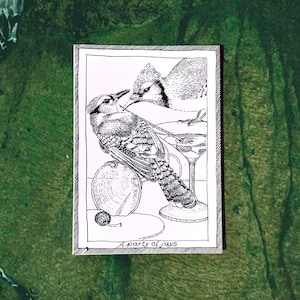 Jays - Themed Bird Postcards - Hand Drawn and Printed, Illustrative Black and White Art