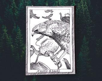 Hawks - Themed Bird Postcards - Hand Drawn and Printed, Illustrative Black and White Art