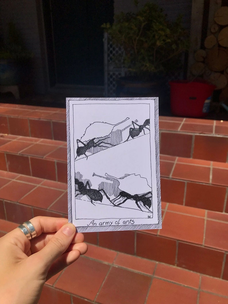 May include: A black and white illustration of ants carrying leaves. The illustration is on a white card with a black border. The text "An army of ants" is written at the bottom of the card.