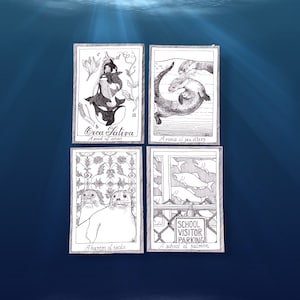 Lot de cartes postales Sea Life - animaux marins locaux - mélange de cartes postales d'art illustratif dessinées à la main, noir et blanc