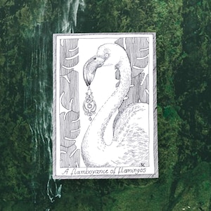 Flamants roses - cartes postales sur le thème des oiseaux - dessinées et imprimées à la main, illustration en noir et blanc, fournitures pour journaux indésirables