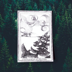 Un murmure d'étourneaux - cartes postales sur le thème des oiseaux - dessinés et imprimés à la main, illustration en noir et blanc