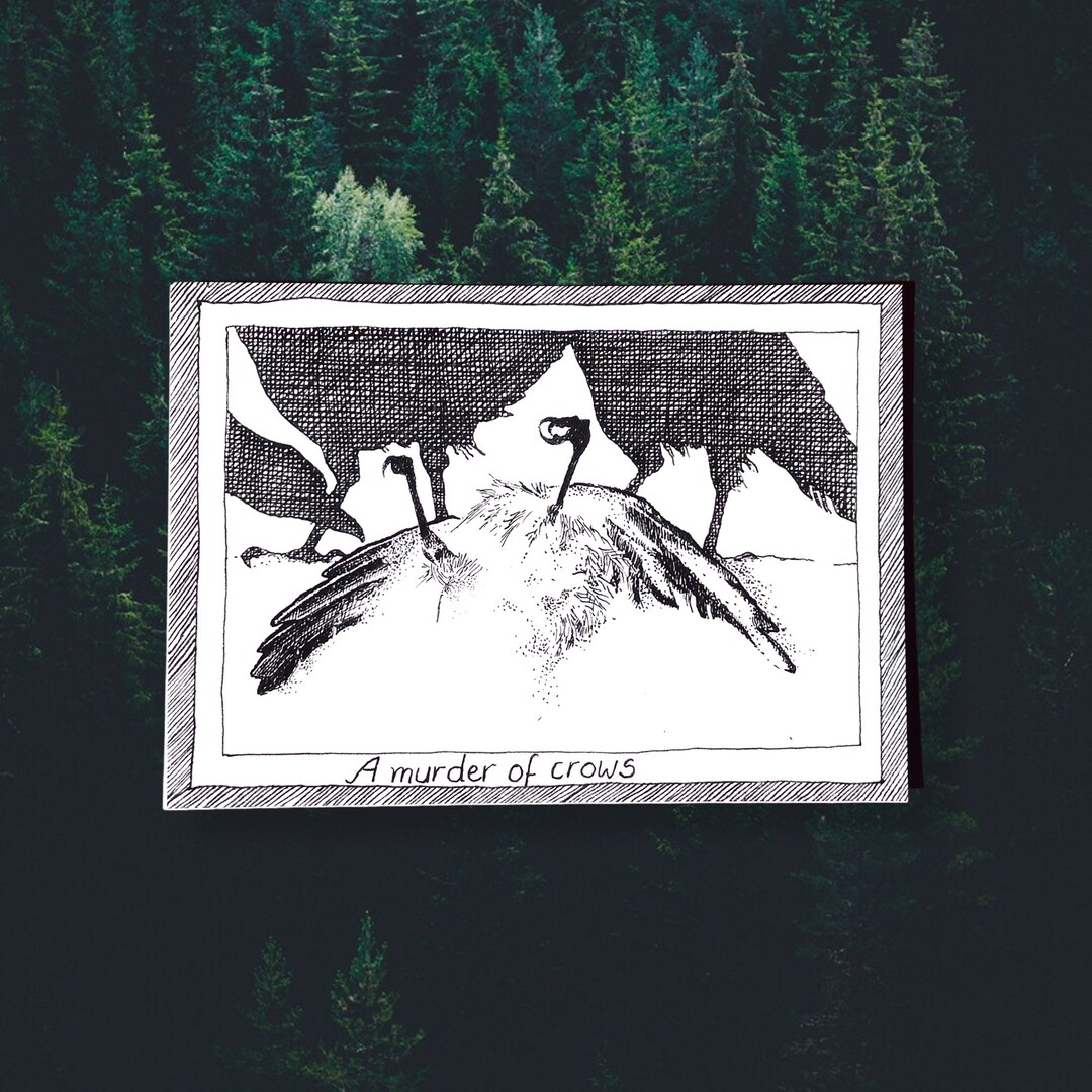 Crows - Themed Bird Postcards - Hand Drawn and Printed, Illustrative ...
