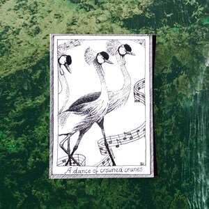 Grues couronnées - cartes postales sur le thème des oiseaux - dessinées et imprimées à la main, illustration en noir et blanc, fournitures pour journaux indésirables