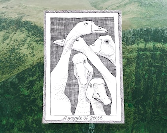 Ganzengaggle - vogelpostkaarten met thema - handgetekende en gedrukte, illustratieve zwart-witte kunst