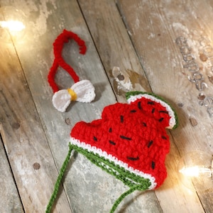 Handmade Crochet Watermelon Hat for Cats & Dogs, Cute Pet Accessory, Handmade CAT HAT, Watermelon Pet Wear, Cat Lover Gift, Pet Accessory